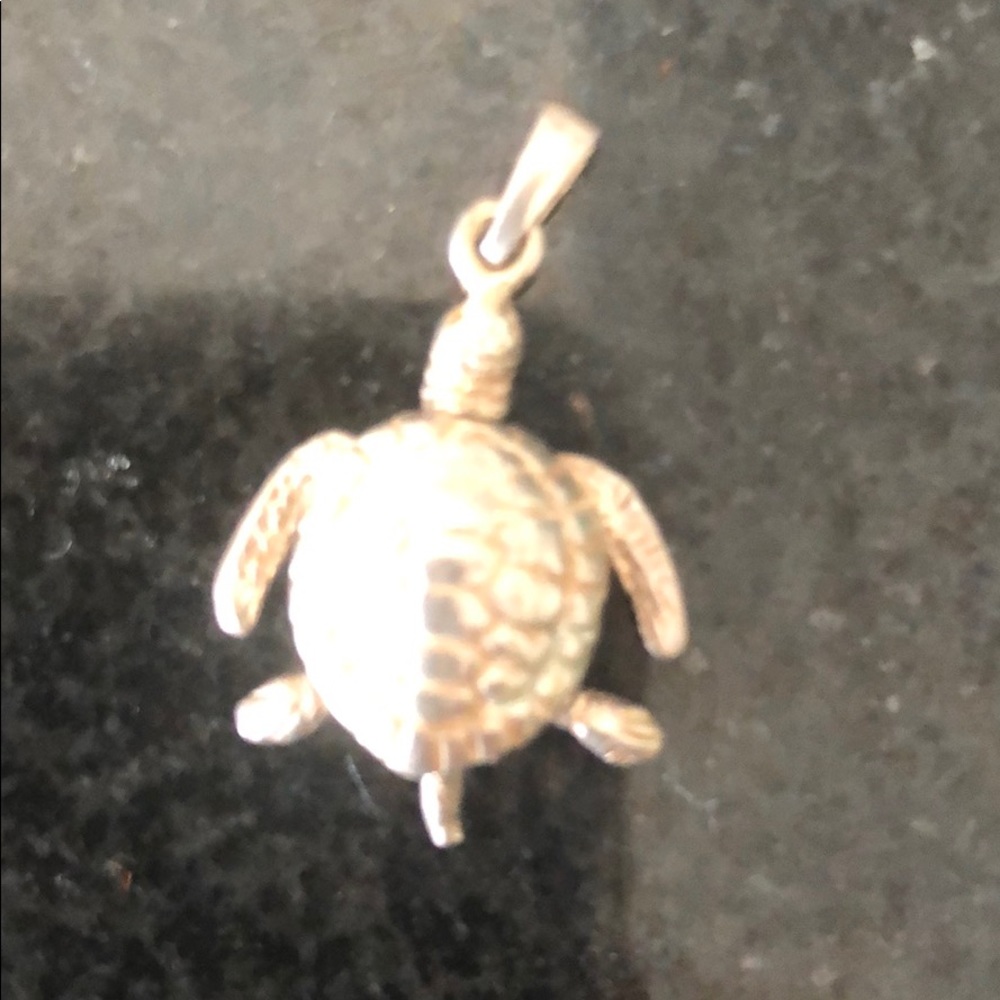Sterling Silver Turtle Charm